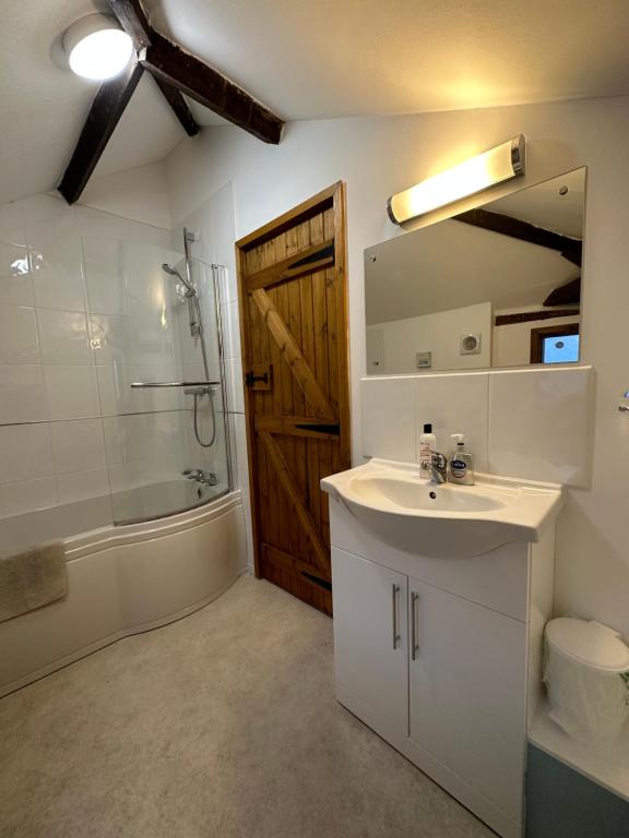 En-suite bathroom with vanity sink and large mirror