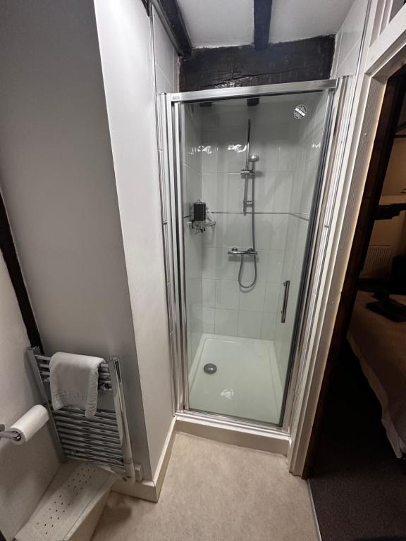 Modern walk-in shower in an en-suite bathroom