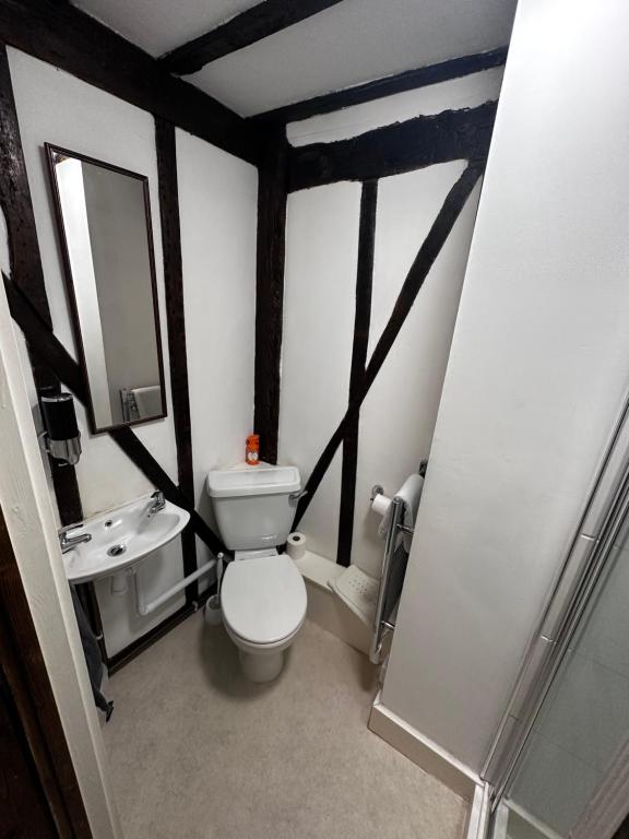 En-suite bathroom with WC, sink and exposed timber beams